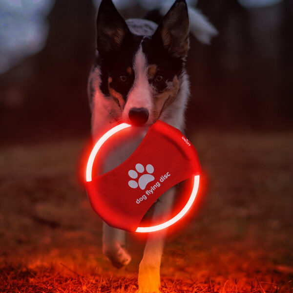 Dog Flying Discs Light Glowing LED - Image 10